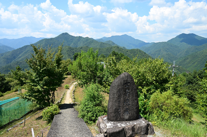 ニコン Nikon Z6III with NIKKOR Z 28-400mm f/4-8 VR ／ 和歌山 紀伊